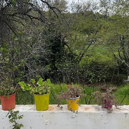 Kanalis דירה Avlonarion